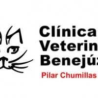 clinica_veterinaria_benejuzar_8